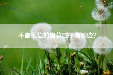 不查征信的借款口子有哪些？