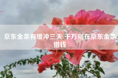 京东金条有缓冲三天 千万别在京东金条借钱