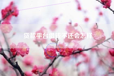 贷款平台借钱不还会怎样