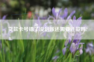 贷款卡号错了没到账还需要还款吗?