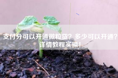 支付分可以开通微粒贷？多少可以开通？详情教程实操！