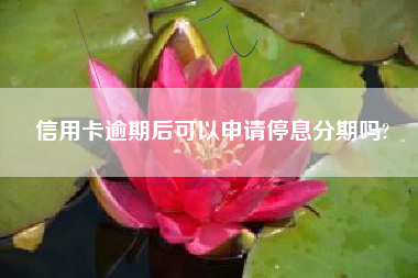 信用卡逾期后可以申请停息分期吗?