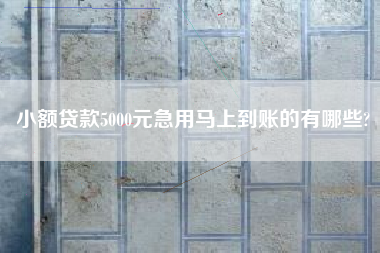 小额贷款5000元急用马上到账的有哪些?