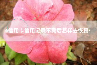 信用卡信用记录不良后怎样去恢复?