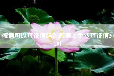 微信可以查征信吗？微信上免费查征信2020！