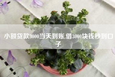 小额贷款3000当天到账,借3000块钱秒到口子