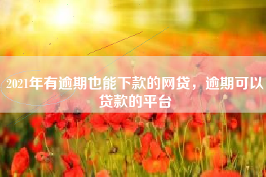 2021年有逾期也能下款的网贷，逾期可以贷款的平台