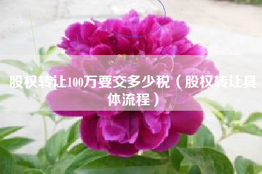 股权转让100万要交多少税（股权转让具体流程）