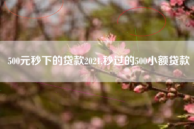 500元秒下的贷款2021,秒过的500小额贷款