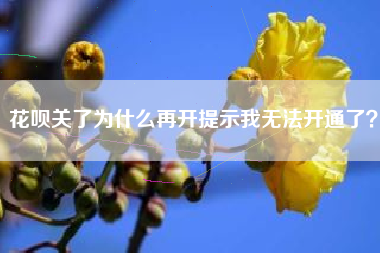 花呗关了为什么再开提示我无法开通了？