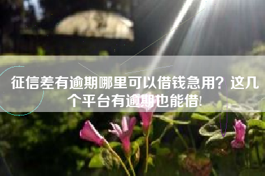 征信差有逾期哪里可以借钱急用？这几个平台有逾期也能借!