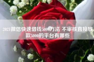 2021微信快速借钱5000方法 不审核直接放款5000的平台有哪些