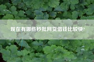 现在有哪些秒批网贷借钱比较快?