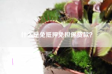 什么是免抵押免担保贷款？