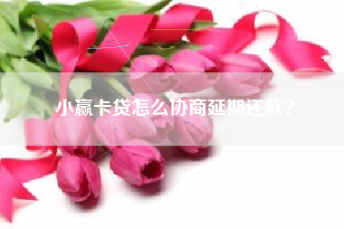 小赢卡贷怎么协商延期还款？