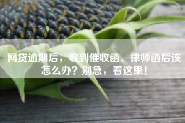 网贷逾期后，收到催收函、律师函后该怎么办？别急，看这里！