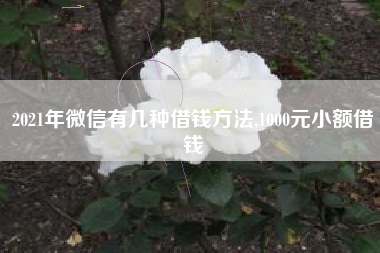 2021年微信有几种借钱方法,1000元小额借钱