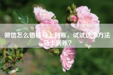 微信怎么借钱马上到账，试试这个方法马上到账？