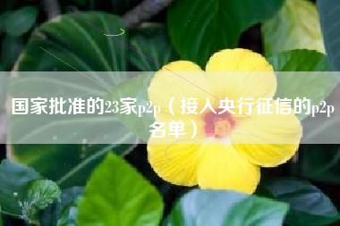 国家批准的23家p2p（接入央行征信的p2p名单）