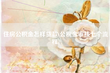 住房公积金怎样贷款(公积金审核七个流程)