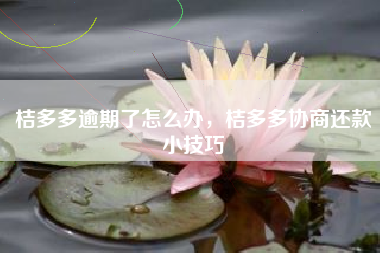 桔多多逾期了怎么办，桔多多协商还款小技巧