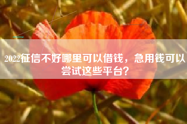 2022征信不好哪里可以借钱，急用钱可以尝试这些平台？