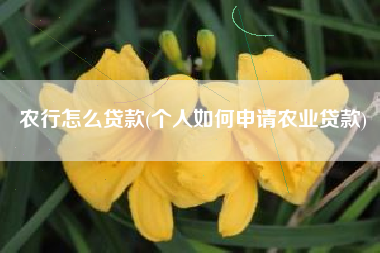 农行怎么贷款(个人如何申请农业贷款)
