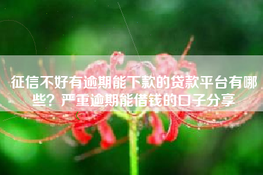 征信不好有逾期能下款的贷款平台有哪些？严重逾期能借钱的口子分享