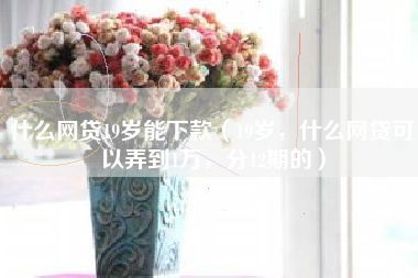 什么网贷19岁能下款（19岁，什么网贷可以弄到1万，分12期的）