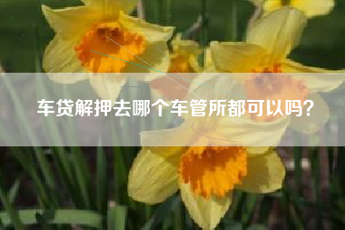 车贷解押去哪个车管所都可以吗？