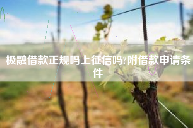 极融借款正规吗上征信吗?附借款申请条件