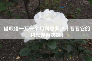借呗借一万一个月利息多少（看看它的利息你再决定）