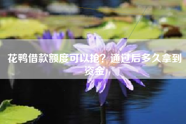 花鸭借款额度可以抢？通过后多久拿到资金