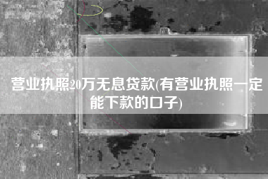 营业执照20万无息贷款(有营业执照一定能下款的口子)