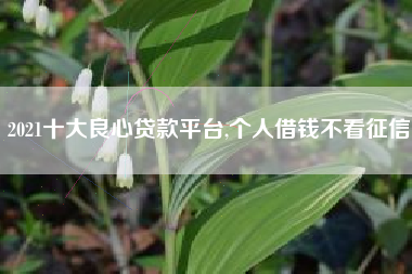 2021十大良心贷款平台,个人借钱不看征信