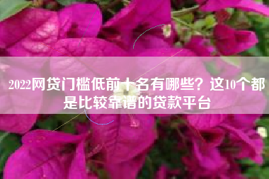 2022网贷门槛低前十名有哪些？这10个都是比较靠谱的贷款平台