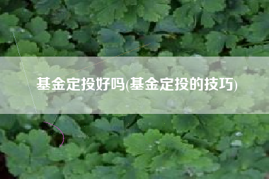 基金定投好吗(基金定投的技巧)
