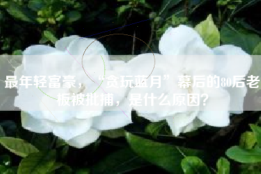 最年轻富豪，“贪玩蓝月”幕后的80后老板被批捕，是什么原因？