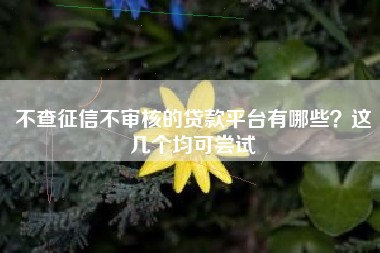 不查征信不审核的贷款平台有哪些？这几个均可尝试
