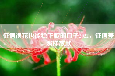征信很花也能稳下款的口子2022，征信差照样放款