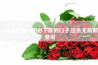3000元无视一切必下款的口子,这些无前期费用
