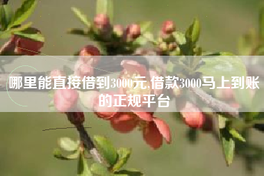 哪里能直接借到3000元,借款3000马上到账的正规平台