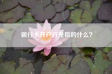 银行卡开户行是指的什么？