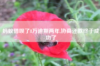 蚂蚁借呗了8万逾期两年,协商还款终于成功了