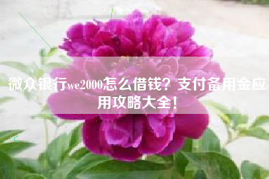 微众银行we2000怎么借钱？支付备用金应用攻略大全！