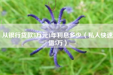 从银行贷款5万元1年利息多少（私人快速借5万）