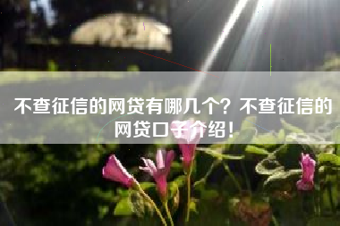 不查征信的网贷有哪几个？不查征信的网贷口子介绍！