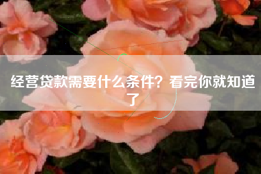 经营贷款需要什么条件？看完你就知道了