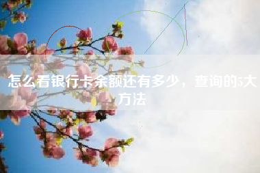 怎么看银行卡余额还有多少，查询的5大方法