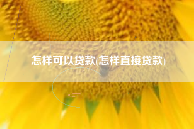怎样可以贷款(怎样直接贷款)
